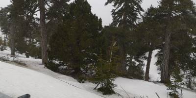 Trodos beyaza büründü