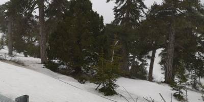 Trodoslar beyaza büründü