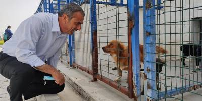 “Lütfen çiçek göndermeyin, mama gönderin”