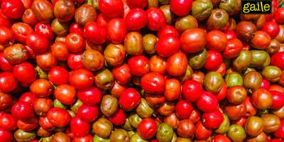 Mevcut Küresel Siyasi Ekonomide Sürdürülebilir Kalkınma