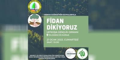 Lefkoşa Gençlik Ormanı’na yarın fidan dikilecek