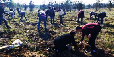 “Ağaçsız tüm orman arazilerini ağaçlandıracağız”