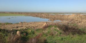 Suyun yüzde 70’i Güney’e gidecek