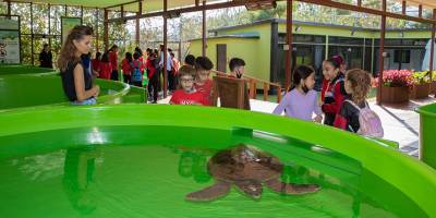 Meritta kaplumbağaları hayata bağlıyor