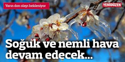 Yarın don olayı bekleniyor