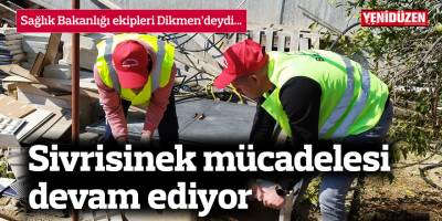 Sivrisinek mücadelesi devam ediyor