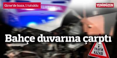 Bahçe duvarına çarptı