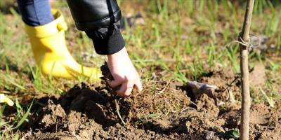 "Fotosentez durursa dünyada yaşam biter"