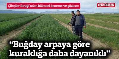 Çiftçiler Birliği: “Buğday kuraklığa daha iyi direnç gösterdi”