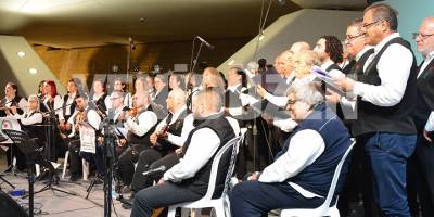 Dayanışma için bir arada