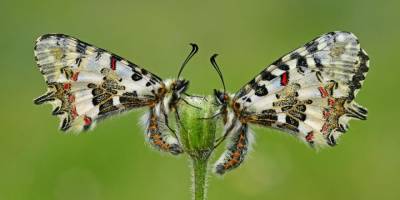 XXXI. Devlet Fotoğraf Yarışması’nın sonuçları açıklandı
