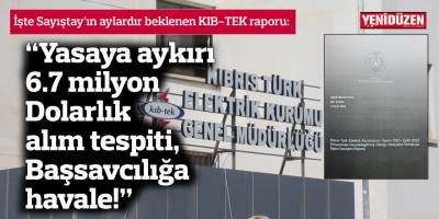 İşte Sayıştay’ın aylardır beklenen KIB-TEK raporu