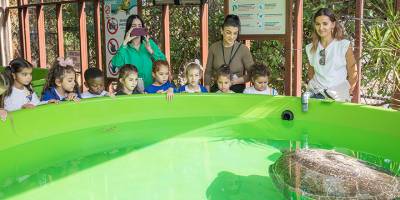 Meritta Deniz Kaplumbağaları Rehabilitasyon Merkezi  bugüne kadar 80 bin ziyaretçi kabul etti