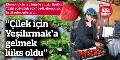 “Çilek için Yeşilırmak’a gelmek lüks oldu”