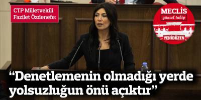 Özdenefe: Denetlemenin olmadığı yerde yolsuzluğun önü açıktır