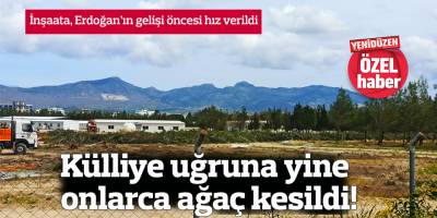 Külliye uğruna yine onlarca ağaç kesildi!