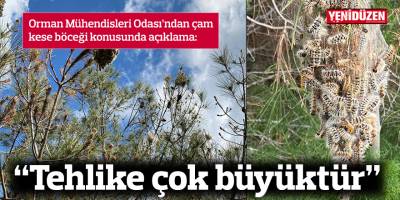 "Tehlike çok büyüktür şu anda 25 bin hektar orman alanı çam kese böceği tehdidi ile karşı karşıyadır"