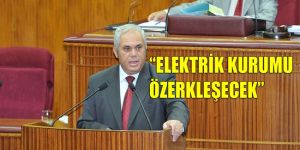 Elektrik için ÜST KURUL oluşacak