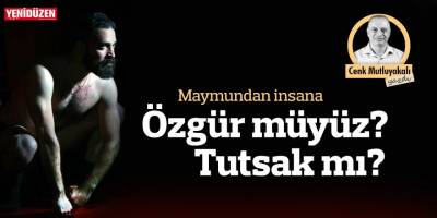 Maymundan insana:  Özgür müyüz, tutsak mı?