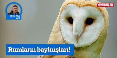 Rumların baykuşları!