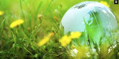 Çevre Yönetimi Nedir, Dünya İçin Neden Önemli?