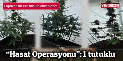 “Hasat Operasyonu”: 1 tutuklu