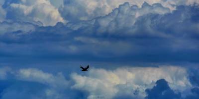 Havanın yarın ve pazar günü yağmurlu olması bekleniyor