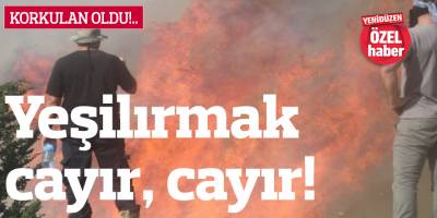 Yeşilırmak cayır, cayır!