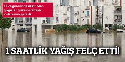 Araçlar suya gömüldü, yollar kapandı, ağaçlar yıkıldı!