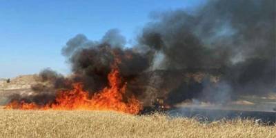 Yol kenarlarının hasat edilmesi için duyuru