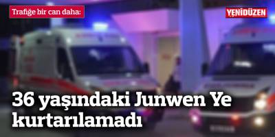 36 yaşındaki Junwen Ye kurtarılamadı