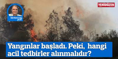 Yangınlar başladı. Peki,  hangi acil tedbirler alınmalıdır?