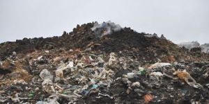 Çöplük alan ağaçlandırılıyor