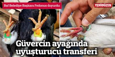 Güvercinle uyuşturucu transferi
