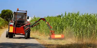 Gazimağusa’da yabani ot temizleme çalışmaları devam ediyor
