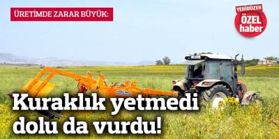 Kuraklık yetmedi dolu da vurdu!