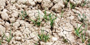 “Kuraklık sonumuz olacak”