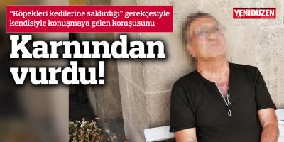 “Köpekleri kedilerine saldırdığı” gerekçesiyle kendisiyle konuşmaya gelen komşusunu Karnından vurdu!