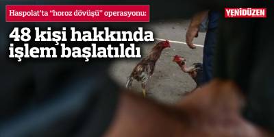 Haspolat’ta “horoz güreşi” operasyonu
