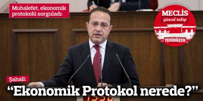 Şahali: Ekonomik Protokol nerede?