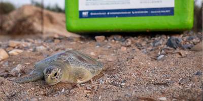 “Bilgi sahibi oldukça bilinç artar”