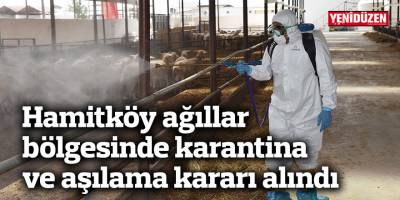 Hamitköy ağıllar bölgesinde karantina ve aşılama kararı alındı