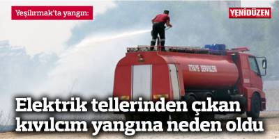 Elektrik tellerinden çıkan kıvılcım yangına neden oldu