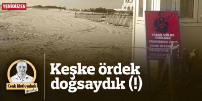 Keşke ördek doğsaydık (!)