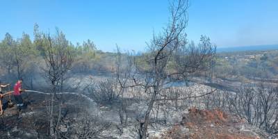 Derince'de arazi yangını