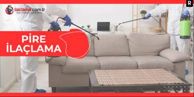 Pire İlaçlama ile Sevdiklerinizi Koruyun