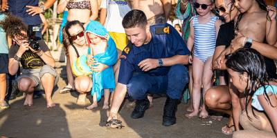 Minik deniz kaplumbağası Michelangelo yuvasına döndü