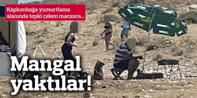 Kaplumbağa yumurtlama alanında mangal yaktılar