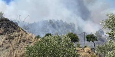 Limasol’daki yangın