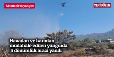 5 dönümlük arazide makilik alan,çamlar ve 12 adet güneş paneli zarar gördü